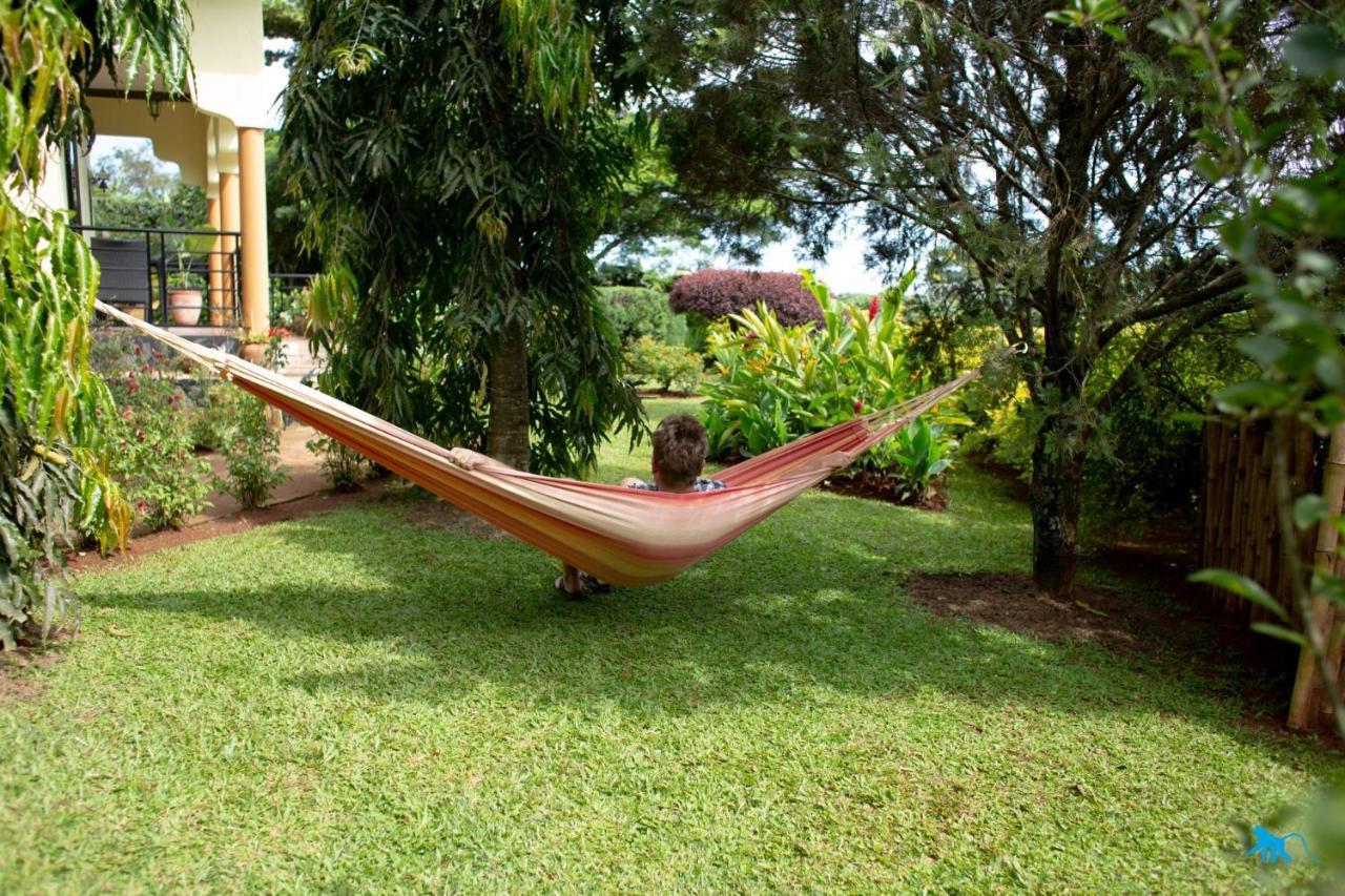 Bluemonkey Guesthouse Εντέμπε Εξωτερικό φωτογραφία
