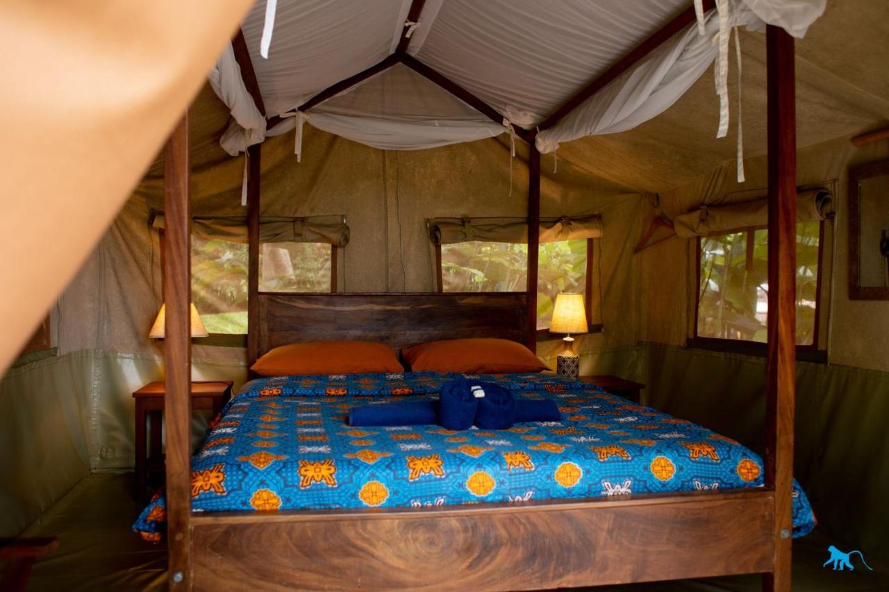 Bluemonkey Guesthouse Εντέμπε Εξωτερικό φωτογραφία